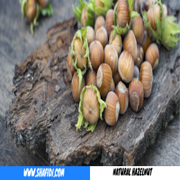 NATURAL HAZEL NUTS